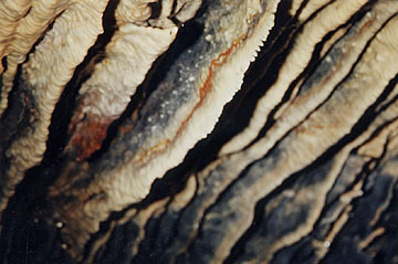 Draperies.