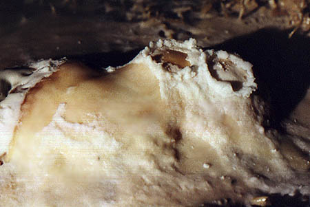 Stalagmites, taille 30 cm