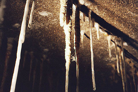 Rangée de stalactites