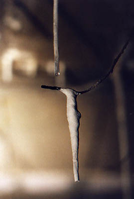 Stalactite, taille 20 cm