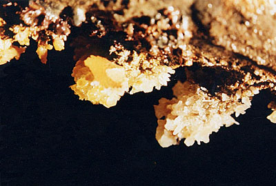 Cristaux de calcite colorée par l'hydroxyde de fer, taille 3 cm.